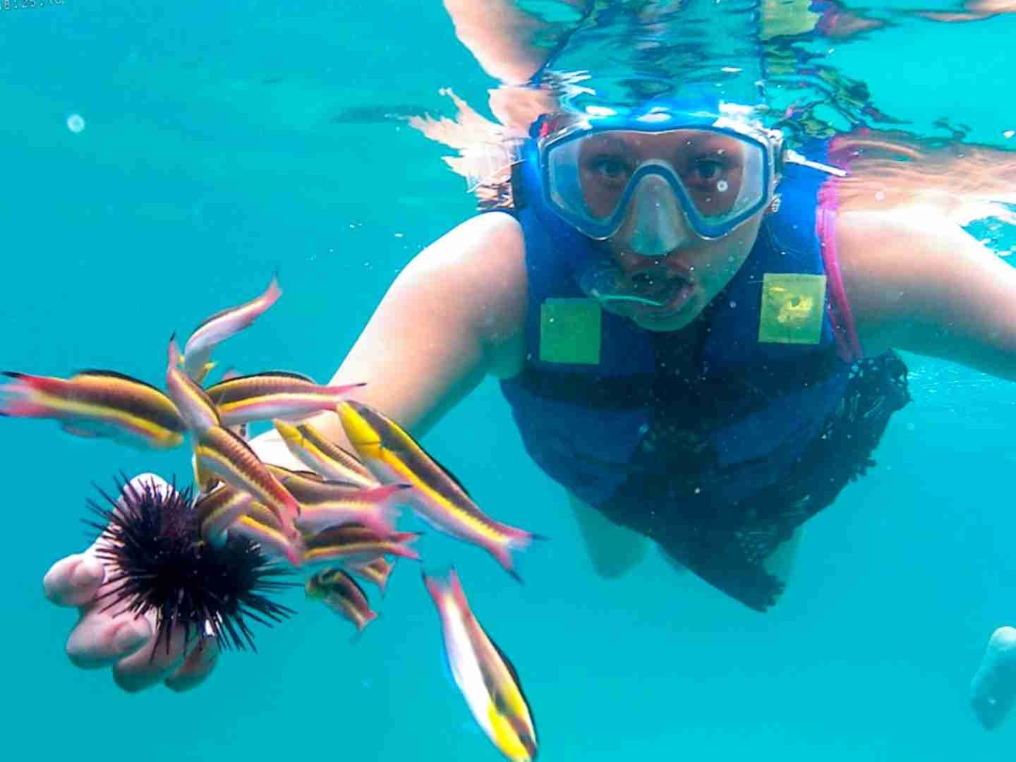 Tour Tradicional + Snorkel